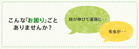 造園管理プラン